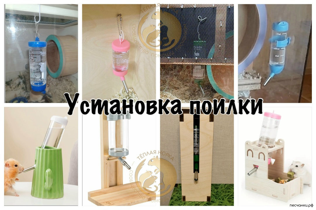 разные варианты установки поилок